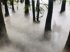 -东湖落雁景区