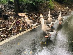-三门江国家森林公园