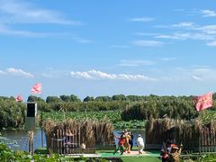 -洪湖生态旅游区