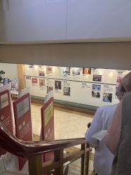 -上海伊莱美医疗美容医院