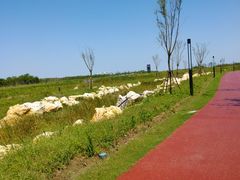 -春花秋色城市公园