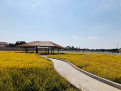 -MUSEO COFFEE咖啡博物馆