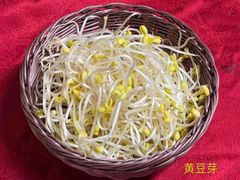 豆芽-0048香辣虾