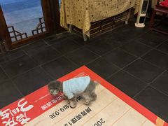 -升艾堂·经络·艾灸·气血(成山路店)