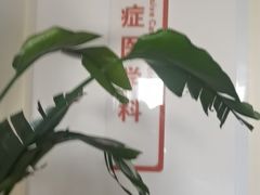 -山水温泉