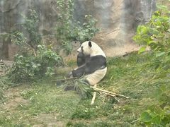 -青藏高原野生动物园
