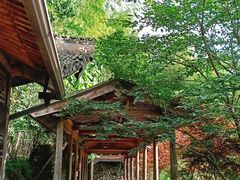 -宁波浙东大竹海景区