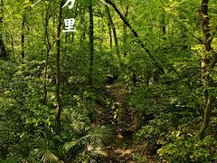 -灵谷景区