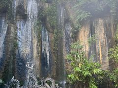 -西双版纳原始森林公园