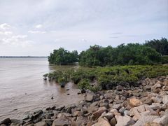 -宝安西湾红树林湿地公园