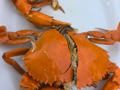 -阳江餐厅·26年老字号·粤菜海鲜大排档