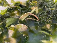 -胖嫂海鲜饭店