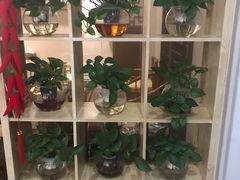 大堂-正清和·推拿养生(二七广场店)