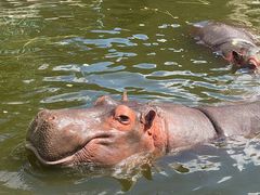 -哈尔滨北方森林动物园