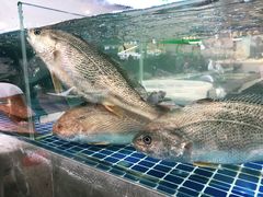 -阿勇海鲜排档2号(朱家尖店)