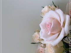 -靳晖金百合花艺GOLDENLILY(南院门店)