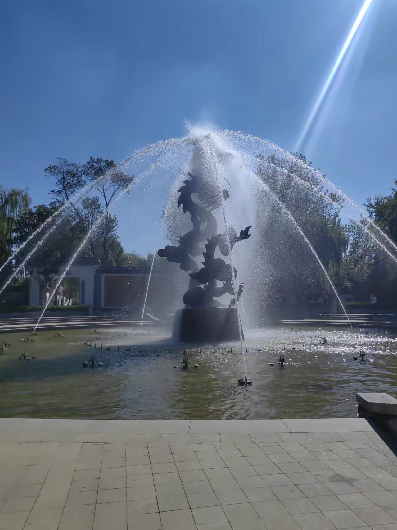 0元玩转这座城和家人去了一趟临沂的龙园