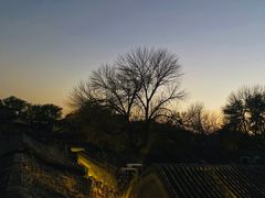 -糖房咖啡(南锣鼓巷店)