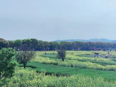 -苏州太湖西山岛开心农场