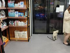 -安安宠医宠物医院·异宠·犬猫内科(岳阳分院)