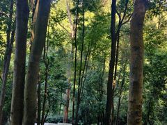-火炉山森林公园