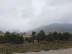 -照金红色旅游名镇