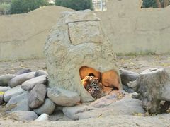 -达蓬山旅游度假区
