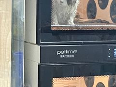 -老吴的猫·猫舍(新区店)