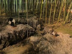 -青枫公园