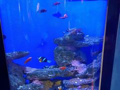 -海合安武汉极地海洋公园