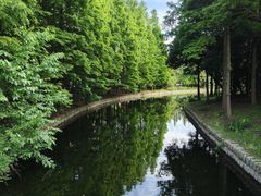 -上海滨江森林公园