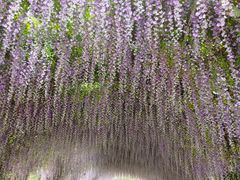 -同里国家湿地公园