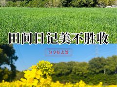 -昆山城市生态森林公园