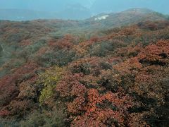 -周口店坡峰岭风景区