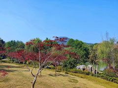 -牛首山文化旅游区