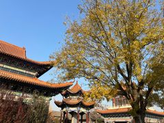 -大悲禅寺