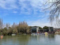 -上海滨江森林公园