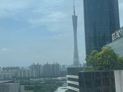 -广州富力君悦大酒店空中花园