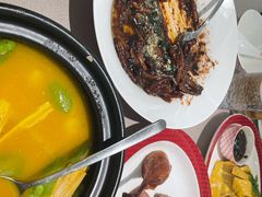 -圆苑(静安寺店)