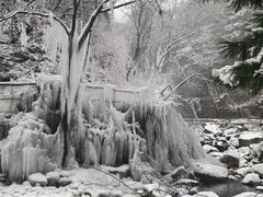 -陕西省红河谷森林公园