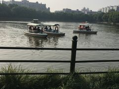 游乐设施-朝阳公园