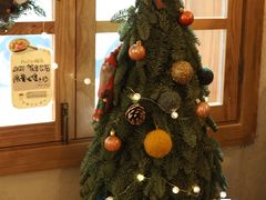 -懒鱼时光馆(沙坪坝店)