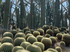 -南山植物园
