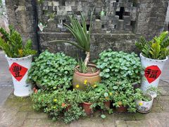 -农厨好味·温泉鹅·农家菜