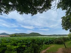 -云龙湖旅游景区