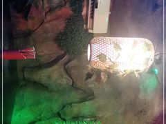 -醉小酒馆·川菜·江湖菜·重庆菜(观音桥旗舰店)