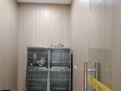 -米苏动物医院·犬猫专科·骨科外科内窥镜