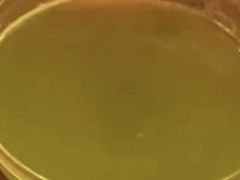 -隐肆威士忌鸡尾酒吧(玉沙国际店)