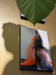 -G-SAGA形象设计