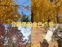 -辽宁大学(崇山校区)